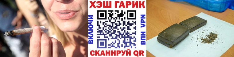 ГАШ Изолятор  Купить где  Кировск 