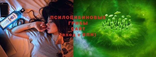 экстази Гусев