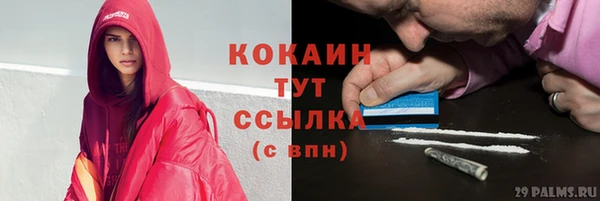 экстази Гусев