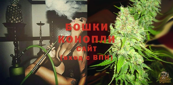 винт Дмитров