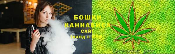 экстази Гусев