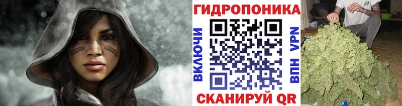 Купить закладки  Кировск  Шишки марихуана план 